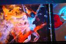 Walldance Couleurs 10 * 4368 x 2912 * (5.38MB)